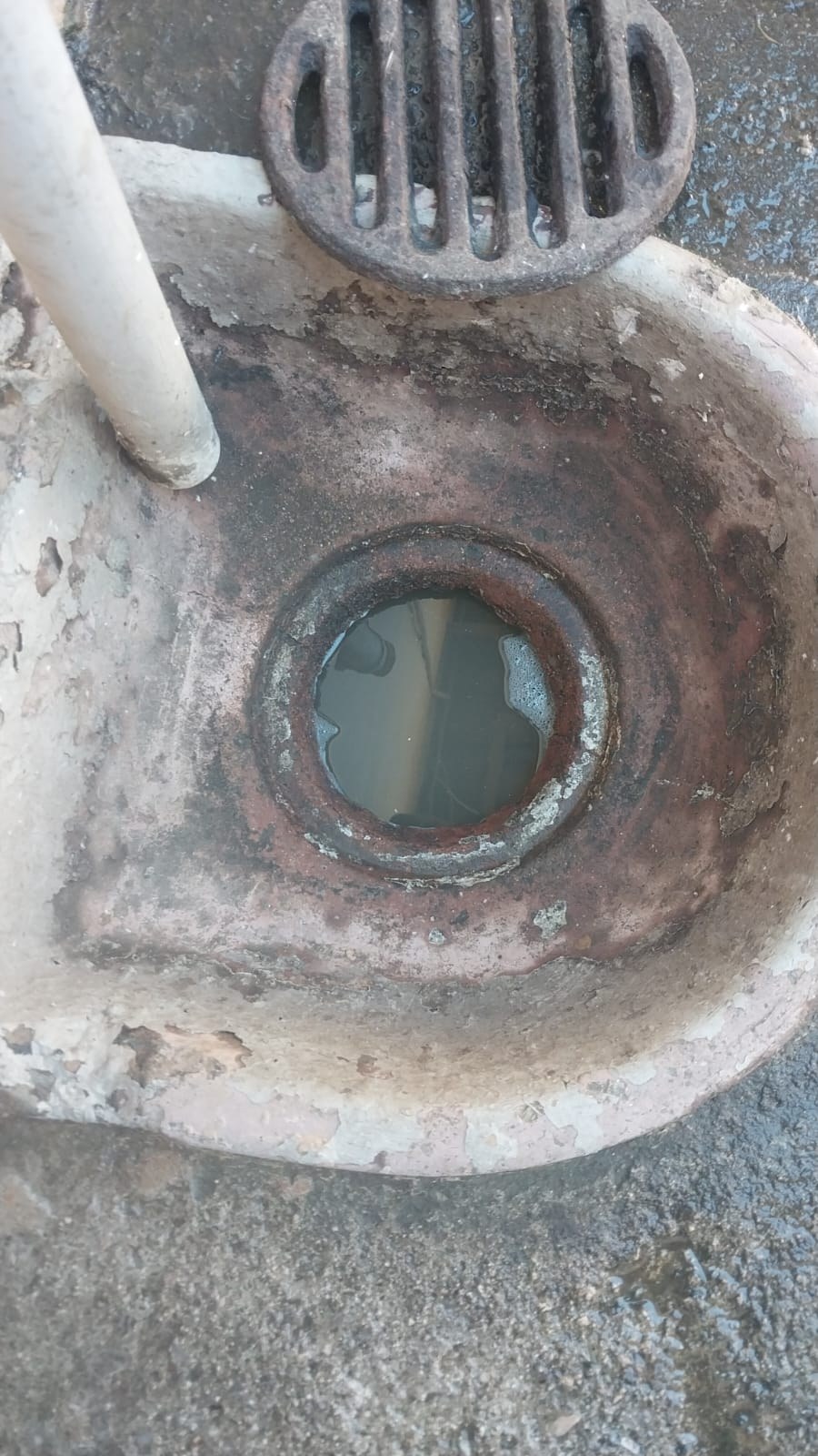 Blocked drain cleaning showing an outside drain opening with standing wastewater during plumbing inspection by Plumb A Nator.