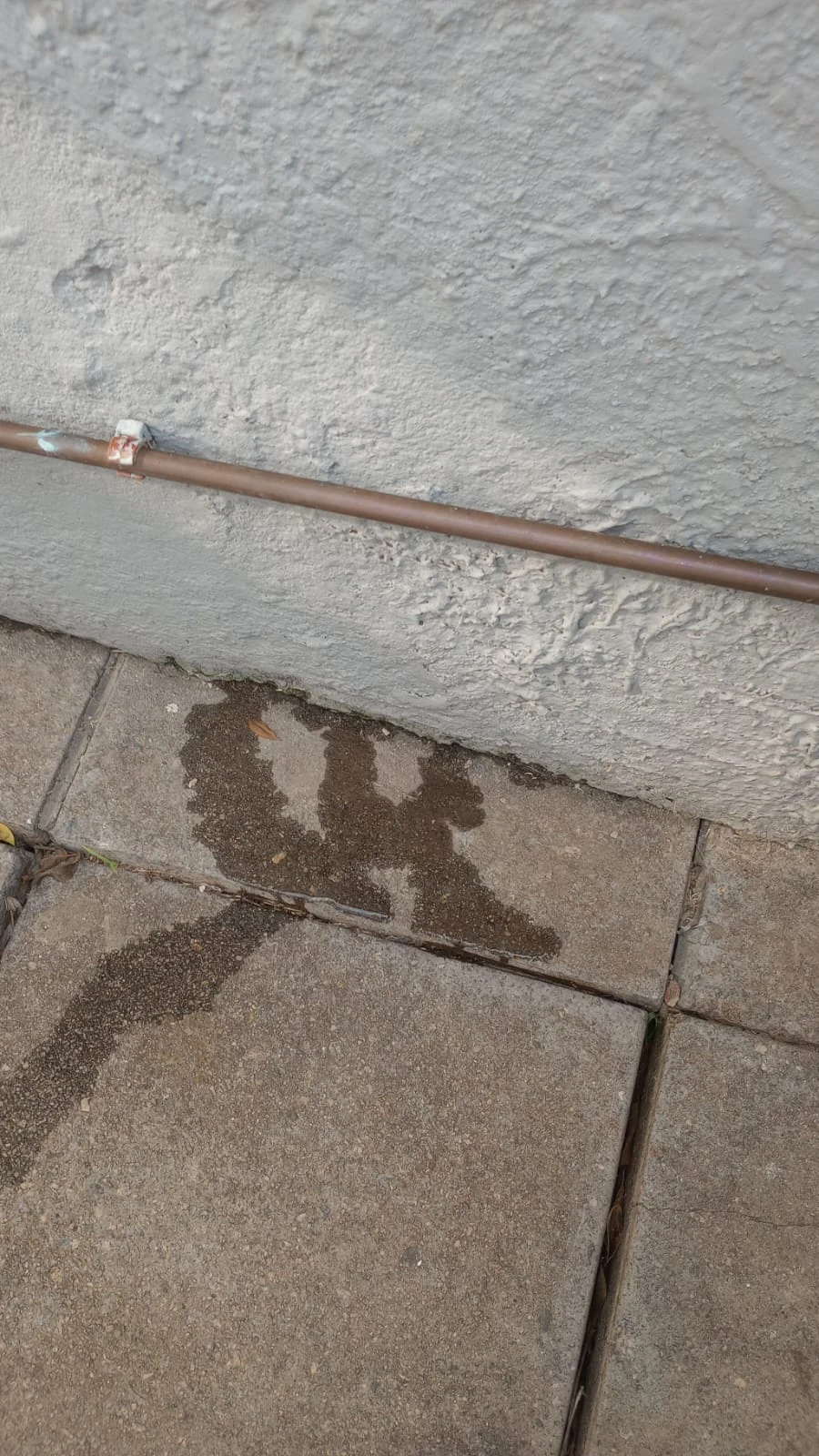 Wall pipe burst showing water marks below an exposed pipe along an outside wall.