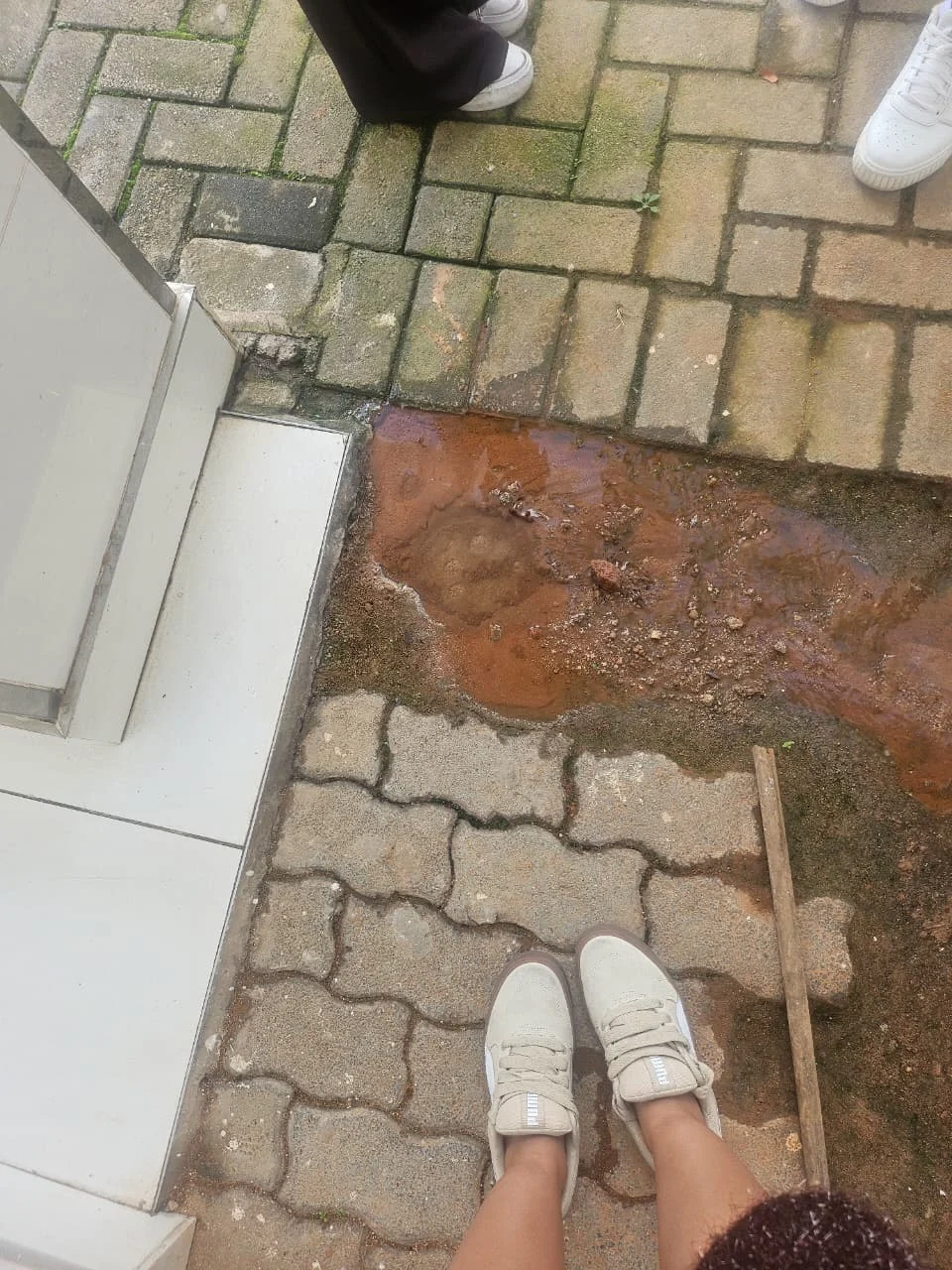 Leak detection and exposed underground water pipe repair by Plumb A Nator