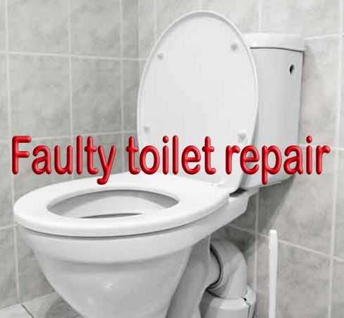 Faulty toilet repair